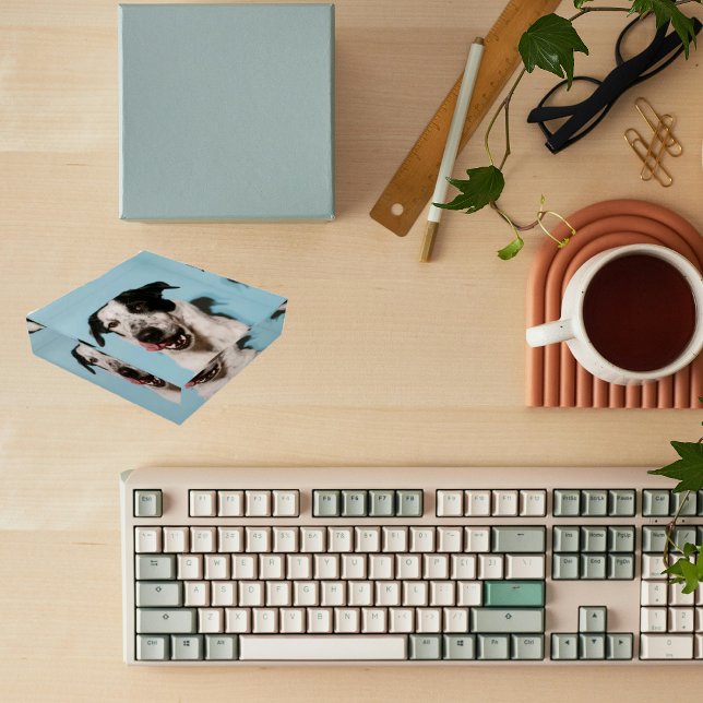 Personalized Square Pet Photo  Paperweight (Creator Uploaded)