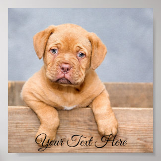 Personalized Square Poster Photo Print.