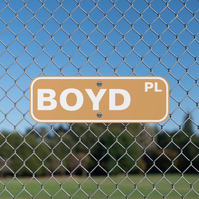 Personalized Street Sign, Housewarming Metal Sign (In Situ(Fence))