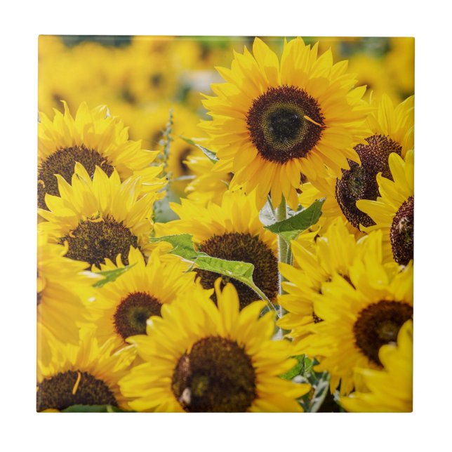 Personalized Sunflower Monogram  Ceramic Tile (Front)