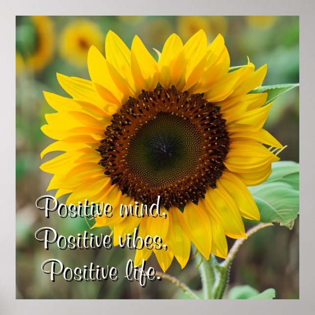 Personalized Sunflower Photo with Quote Poster (Front)
