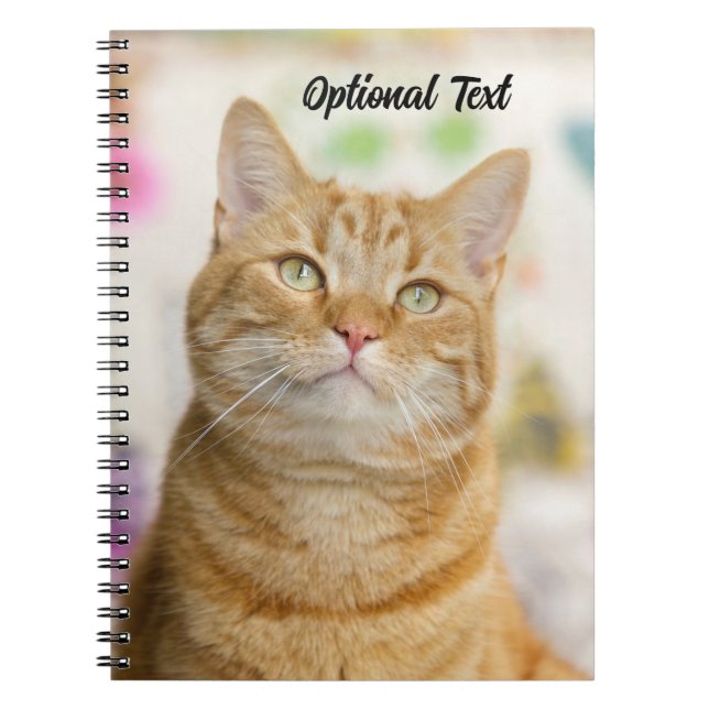 Personalized Sweet Orange Tabby Cat Notebook (Front)
