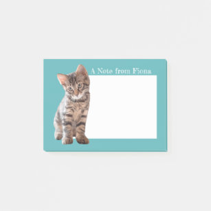 Personalized Tabby Cat Kitten Photo Illustrated Post-it Notes