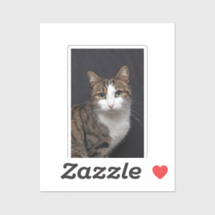 Personalized Tabby Cat Single Pet Photo  Sticker