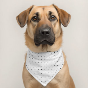 Personalized Tactical Dog Collar Military Grade