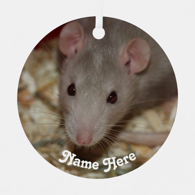 Personalized Tan Beige Fancy Pet Rat Metal Ornament (Front)