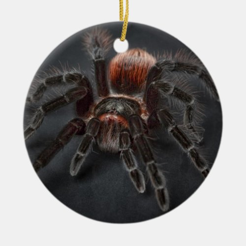 Personalized Tarantula Spider  Christmas Ceramic Ornament
