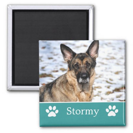 Personalized Teal Pet Photo Magnet
