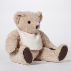 Personalized Teddy Bear With Message Bib at Zazzle