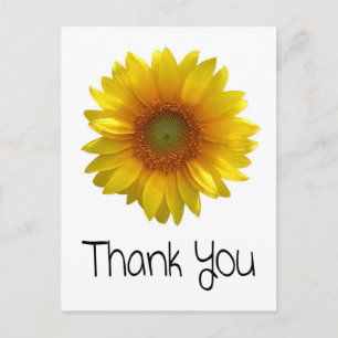 Personalized Thank You Sunflower Greeting Postcard