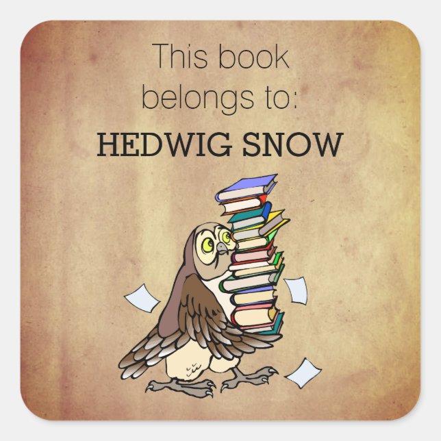 Personalized This Book Belongs to Owl Bookplate (Front)