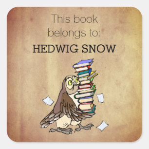 Personalized This Book Belongs to Owl Bookplate