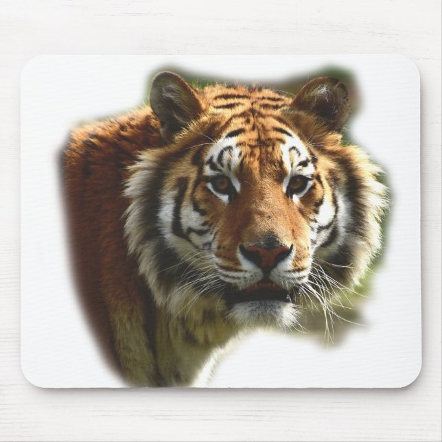 Personalized Tiger Wild Animal Mouse Pad (Front)