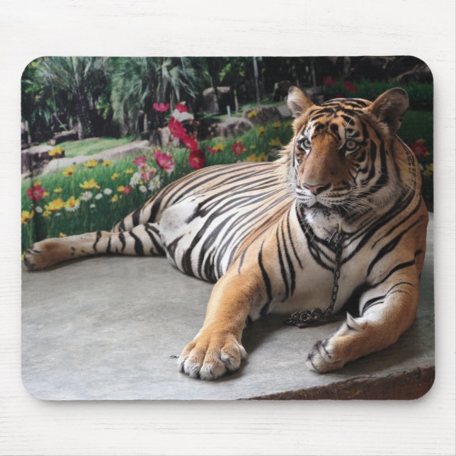 Personalized Tiger Wild Animal Mouse Pad (Front)