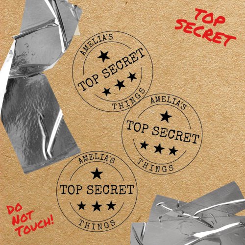 PERSONALIZED TOP SECRET SELF_INKING STAMP