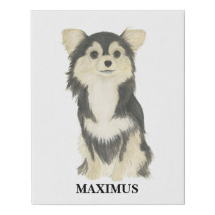 Personalized Tricolor Long Haired Chihuahua Faux Canvas Print