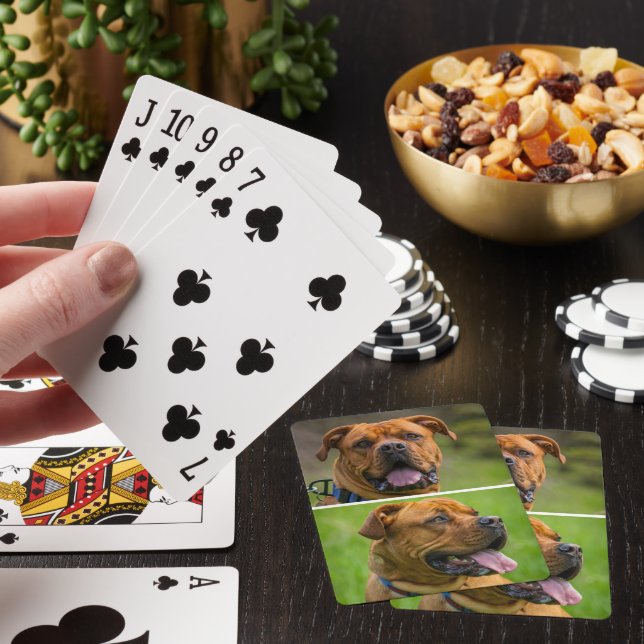 Personalized Two Pet Photo  Poker Cards (In Situ)