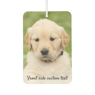 Download Template Car Air Fresheners Zazzle