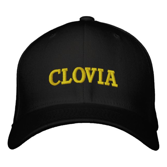 Personalized typography embroidered baseball cap (Front)