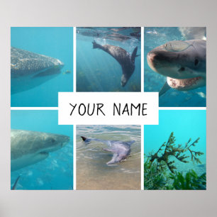 Personalized Underwater Animals Australia Poster