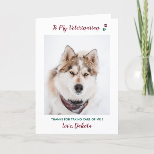 Personalized Veterinarian Pet Care Pet Photo Holiday Card