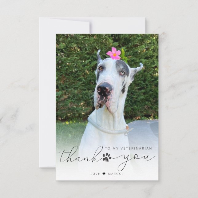 Personalized Veterinarian Pet Care Pet Photo Thank You Card (Front)
