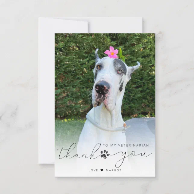 Personalized Veterinarian Pet Care Pet Photo Thank You Card | Zazzle