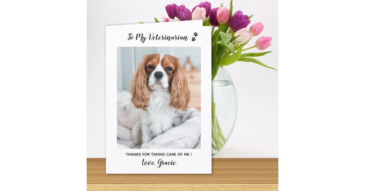 Personalized Veterinarian Pet Care Pet Photo Thank You Card | Zazzle