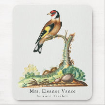 Personalized Vintage Botanical Bird Teacher