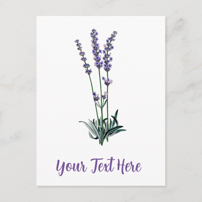 Personalized Vintage Lavender Flower Postcard (Front)