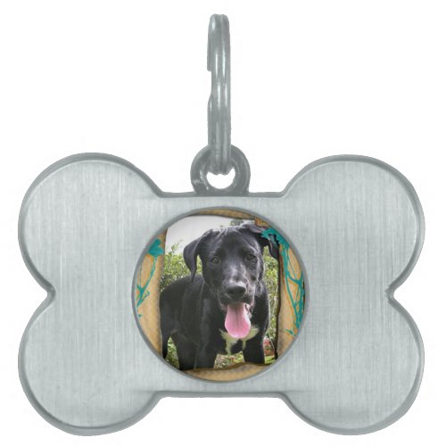 Personalized Vintage Photo Collage Pet Tag
