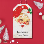 Personalized vintage Santa Claus Christmas holiday Gift Tags<br><div class="desc">Customizable cute vintage Santa Claus Christmas gift tags.</div>