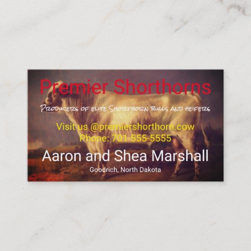 Personalized Vintage Shorthorn Bull Business Card