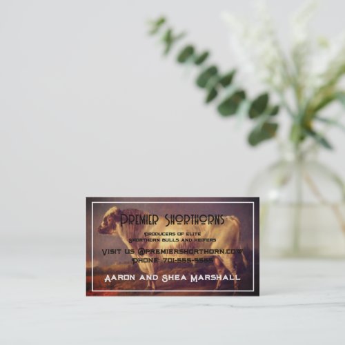 Personalized Vintage Shorthorn Bull  Business Card