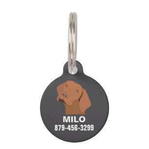 Personalized Vizsla Dog Pet ID Tag