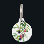 Personalized Watercolor Olive Branch Pet ID Tag<br><div class="desc">The olive, botanical name Olea europaea, meaning 'European olive', is a species of small tree or shrub in the family Oleaceae, found traditionally in the Mediterranean Basin. This beautiful personalized watercolor olive branch pet ID tag is painted in beautiful hues using both wet-on-wet and wet-on-dry watercolor techniques. Check out this...</div>