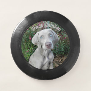 Personalized Weimaraner Dog Frisbee w/ Brooklyn