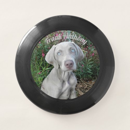 Personalized Weimaraner Dog Frisbee w Brooklyn