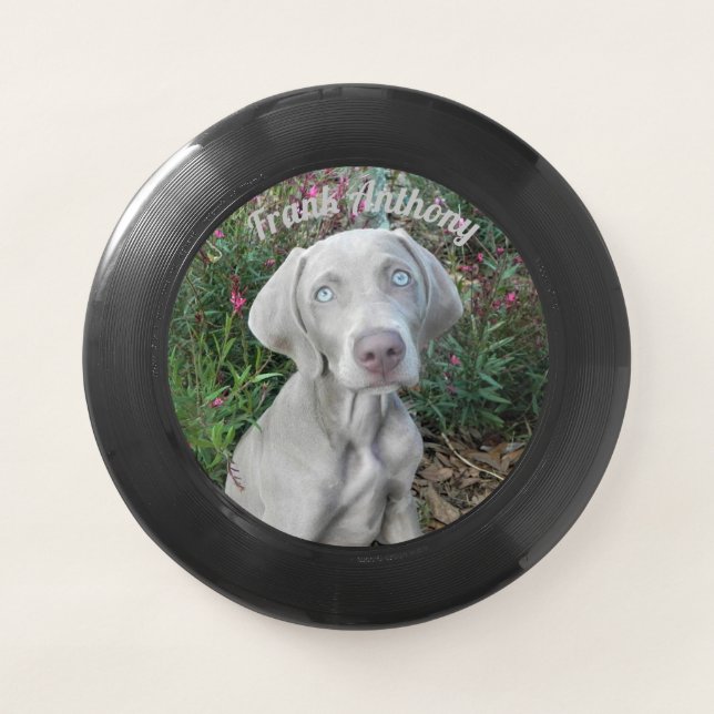 Personalized Weimaraner Dog Frisbee w/ Brooklyn (Front)
