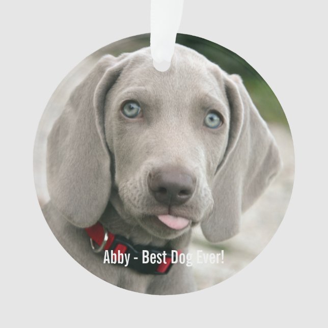 Personalized Weimaraner Dog Photo and Dog Name Ornament (Front)