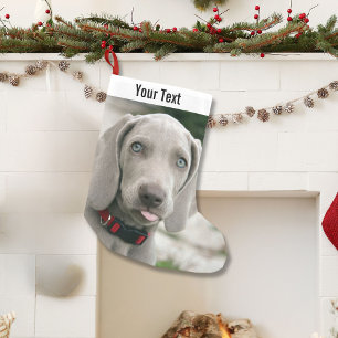 Personalized Weimaraner Dog Photo and Dog Name Small Christmas Stocking