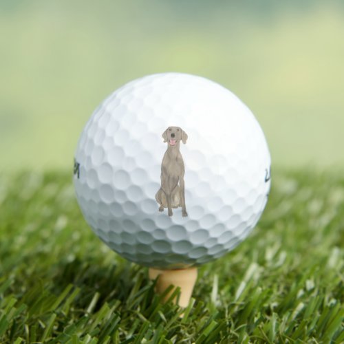 Personalized Weimaraner Golf Balls