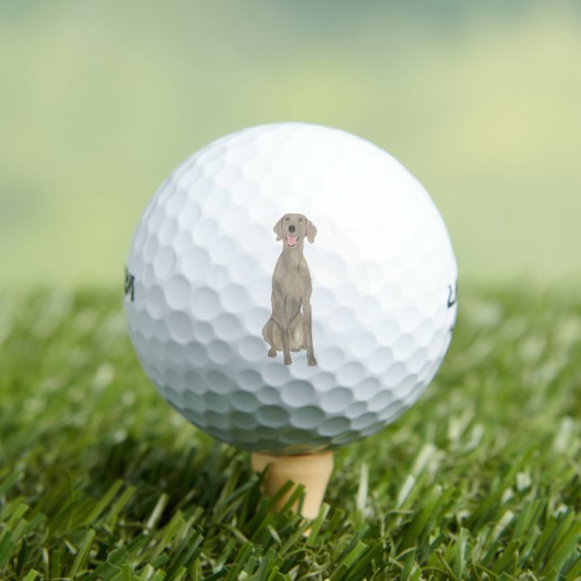 Personalized Weimaraner Golf Balls (Insitu Tee)