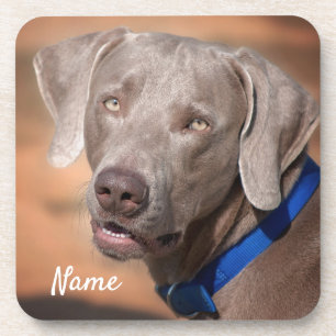 Personalized Weimaraner Puppy Dog Beverage Coaster