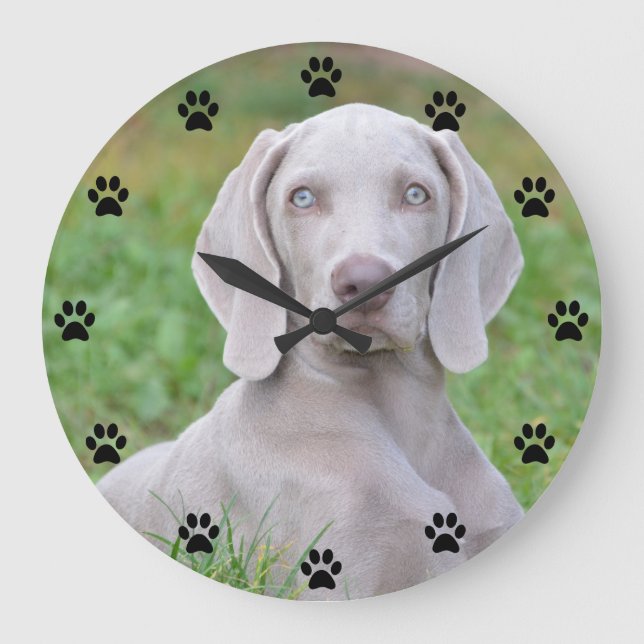 Personalized Weimaraner Puppy Dog Paw Print Time Large Clock (Front)