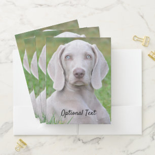 Personalized Weimaraner Puppy Dog Pocket Folder