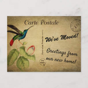 Personalized We've Moved Announcement Vintage Bird Postcard