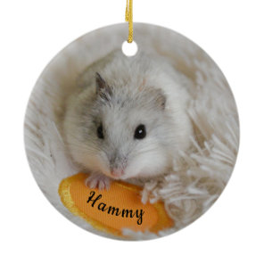Personalized White Dwarf Hamster Pet Ceramic Ornament