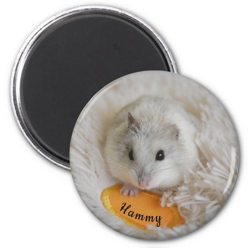 Personalized White Dwarf Hamster Pet  Magnet