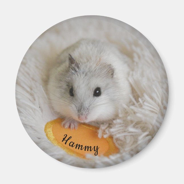Personalized White Dwarf Hamster Pet  Magnet (Front)